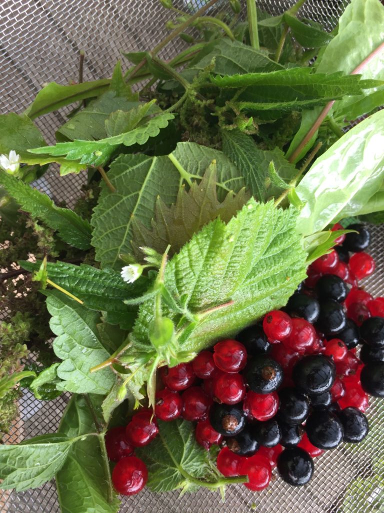 Zutaten für einen grünen Smoothie