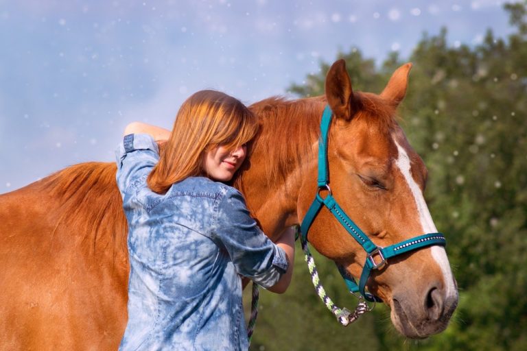 Körperkontakt zwischen Mensch und Pferd zur Behandlung von Schlafstörungen und anderen Traumafolgen