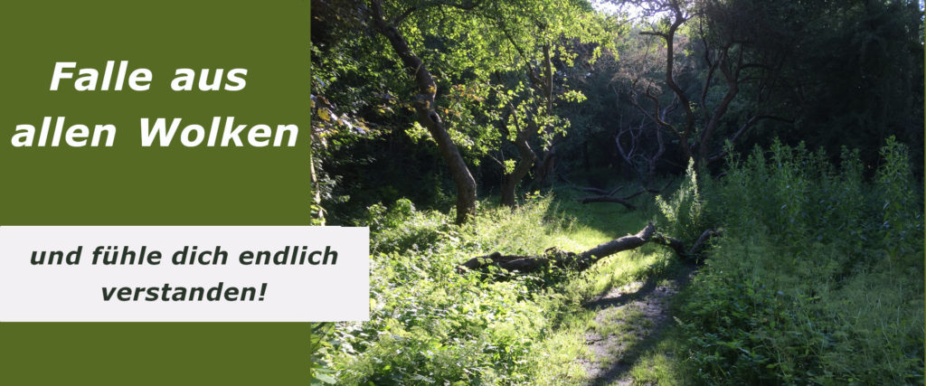 Ein wilder Wals als Sinnbild für die unergründliche Seele