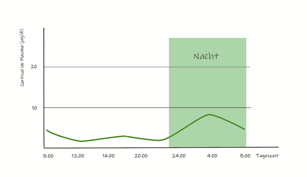 Cortisolkurve bei Nebennierenerschoepfung