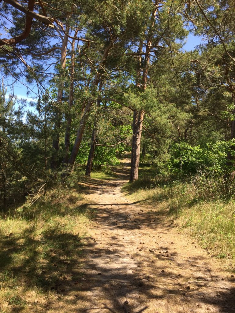 Waldbaden gegen Nebennierenschwäche