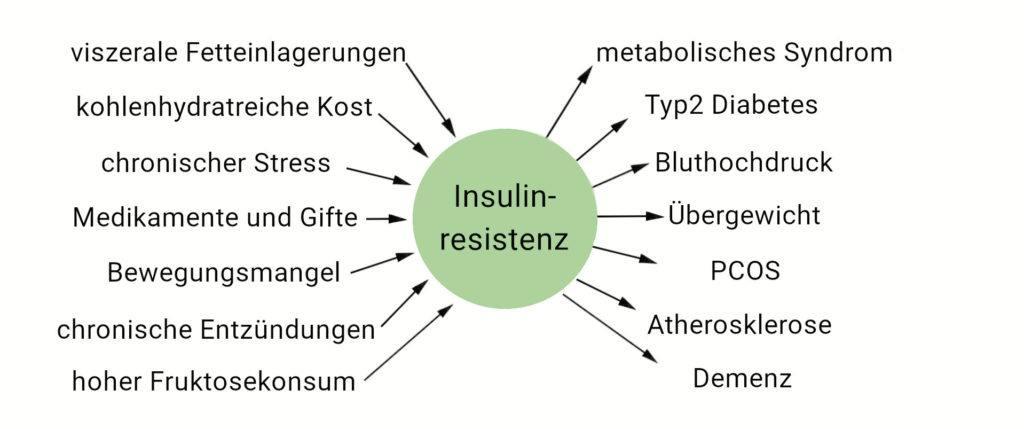 Schema zu Ursachen und Folgen der Insulinresistenz