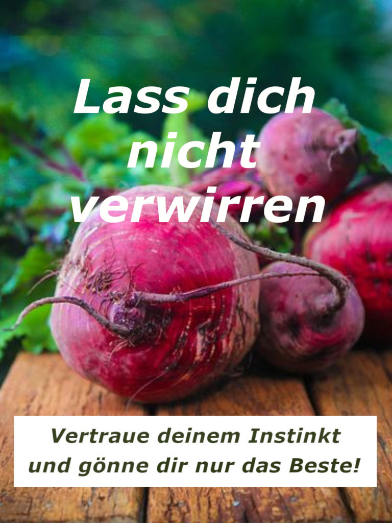 Rote Bete frisch geerntet
